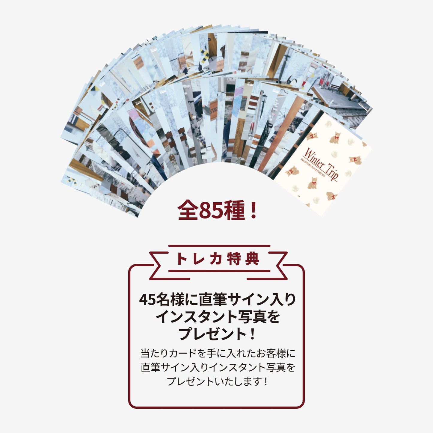 RANDOM TRADING CARD / NiziU『JYP JAPAN POPUP STORE 2025』