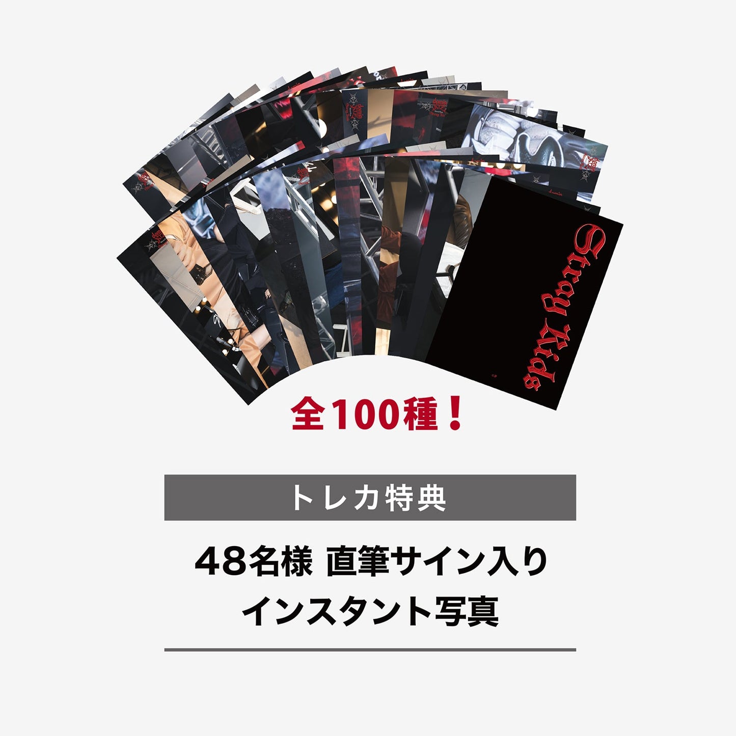 RANDOM TRADING CARD / Stray Kids『Stray Kids World Tour <dominATE JAPAN>』
