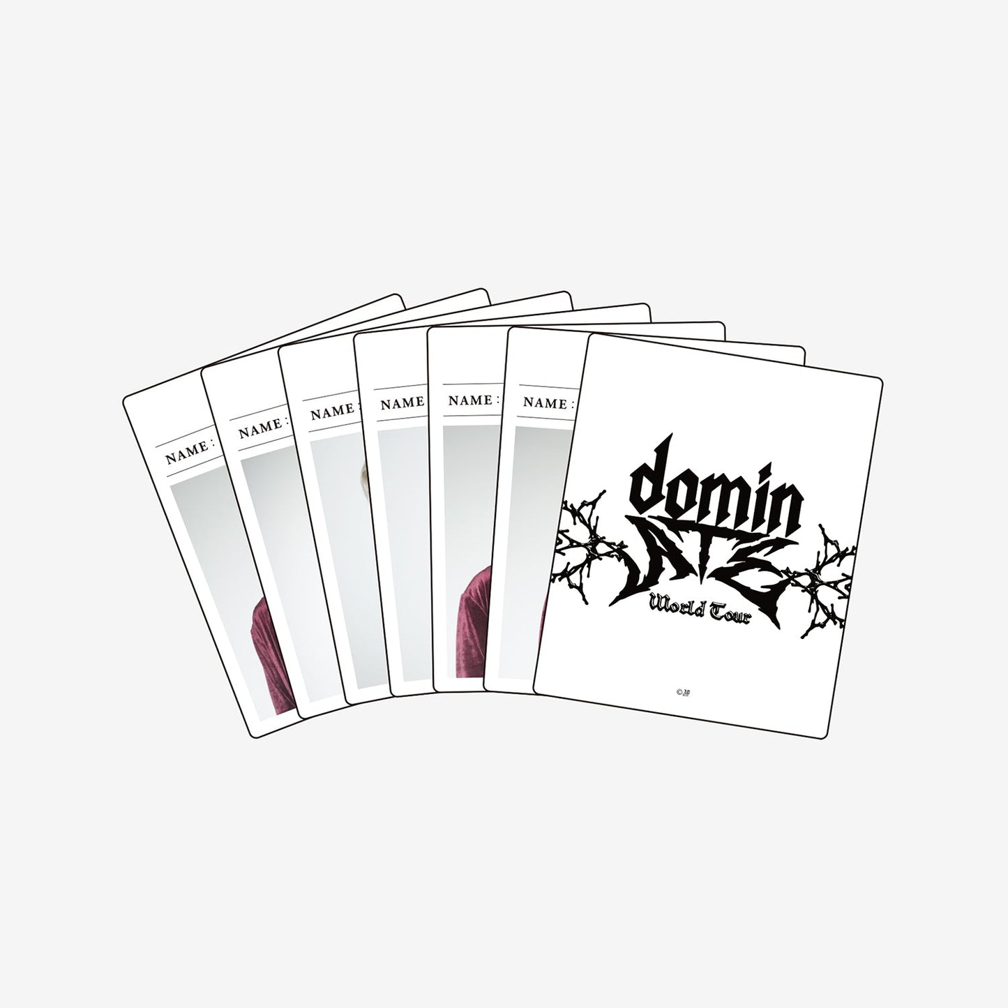 INSTANT PHOTO SET(6PIECES)- Felix / Stray Kids『Stray Kids World Tour <dominATE JAPAN>』
