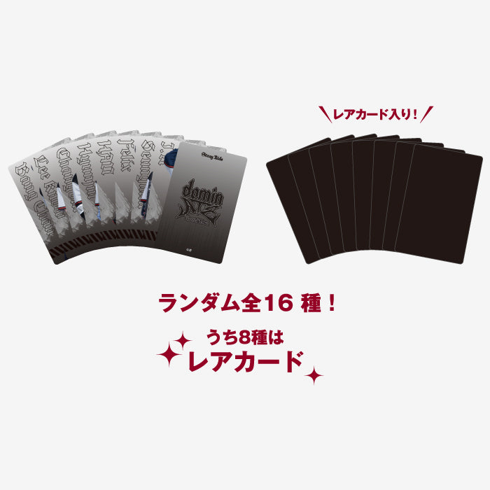 RANDOM PHOTO CARD / Stray Kids『Stray Kids World Tour <dominATE JAPAN> 』