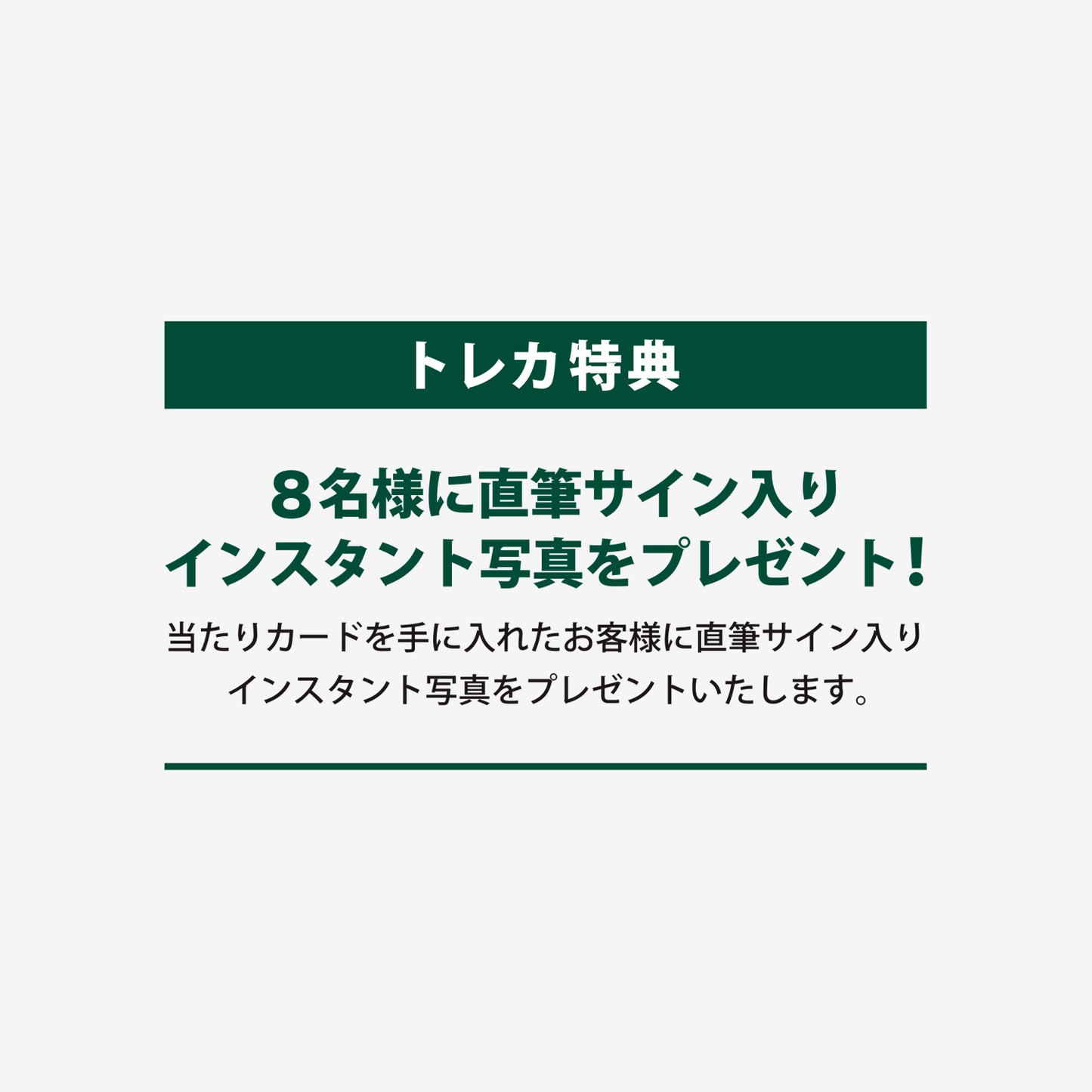 RANDOM TRADING CARD / DAY6『3RD WORLD TOUR <FOREVER YOUNG>』