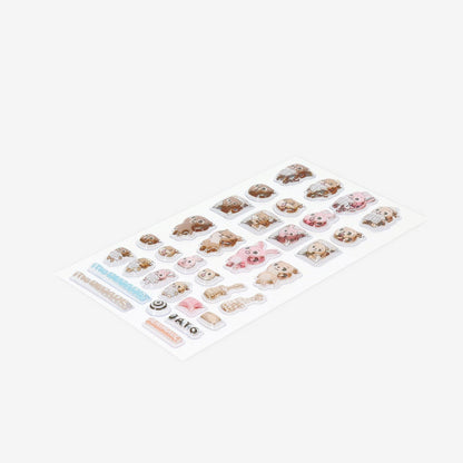 STICKER / DAY6『10th Anniversary Tour ＜The DECADE＞』