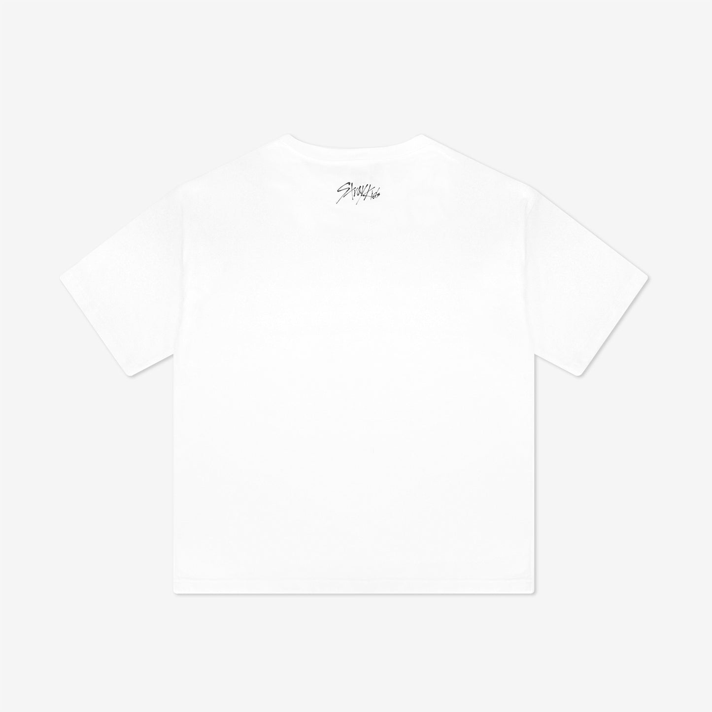 OVERSIZE T-SHIRT - PuppyM / Stray Kids『5-STAR Dome Tour 2023』