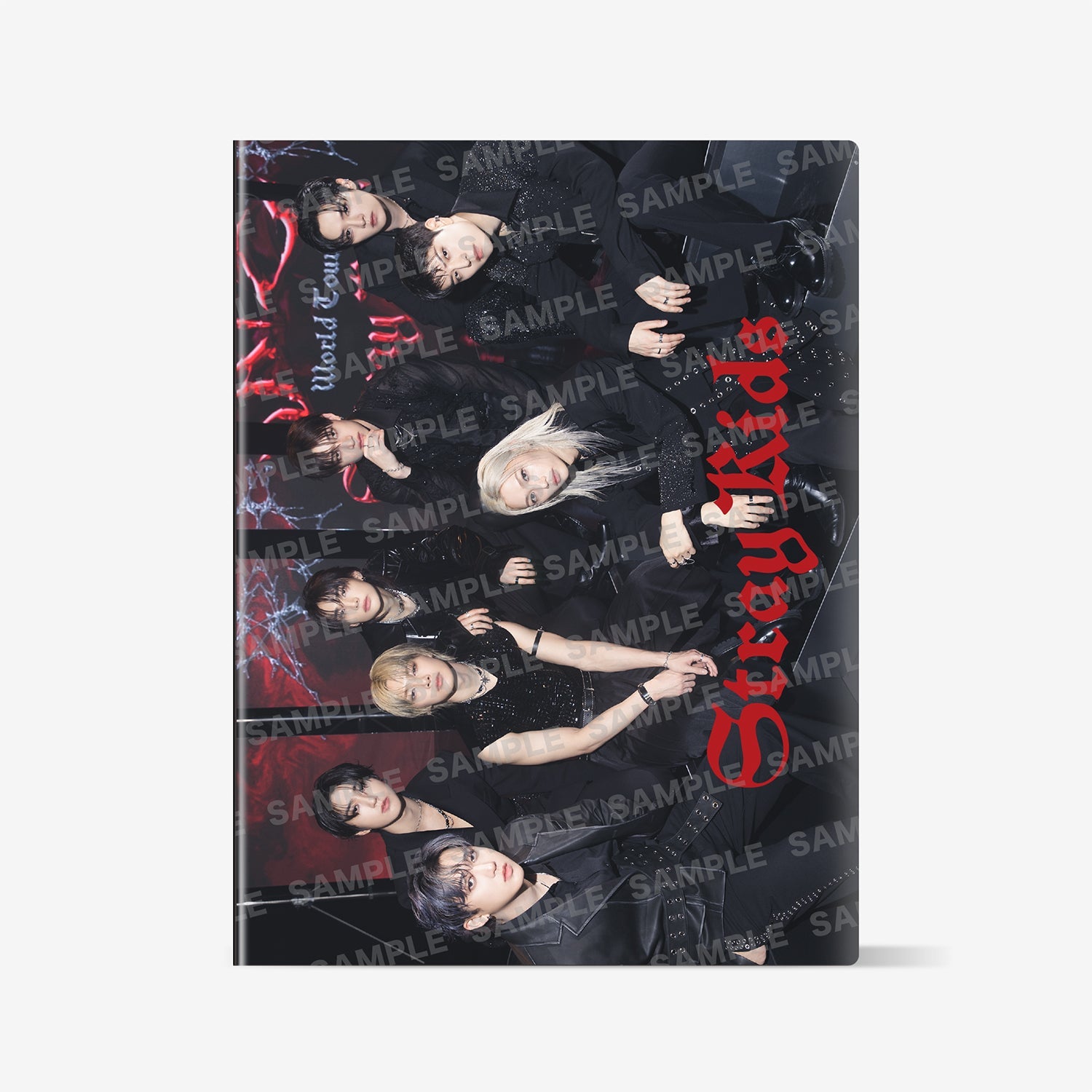 TRADING CARD CASE / Stray Kids『Stray Kids World Tour ＜dominATE JAPAN＞』