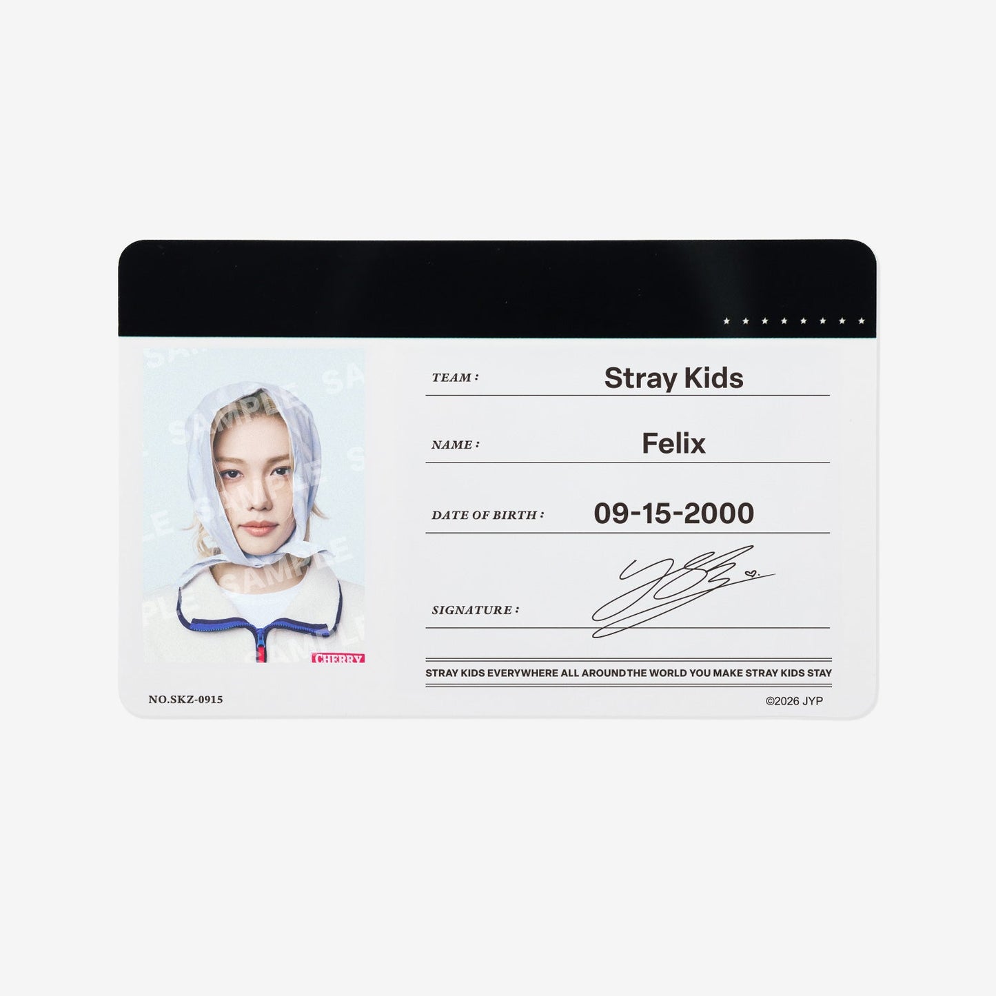 PROFILE CARD SET - Felix / Stray Kids『World Tour <RUN IT JAPAN>』