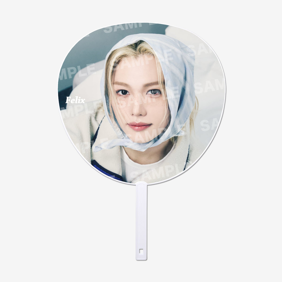 IMAGE PICKET / B - Felix / Stray Kids『World Tour <RUN IT JAPAN>』