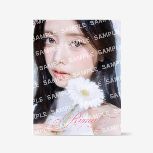 TRADING CARD CASE - RIMA / NiziU『Live with U 2026-2027 “Who? U! NiziU Fes.”』