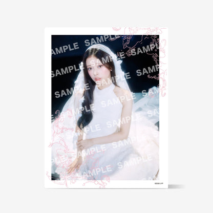 TRADING CARD CASE - RIMA / NiziU『Live with U 2026-2027 “Who? U! NiziU Fes.”』